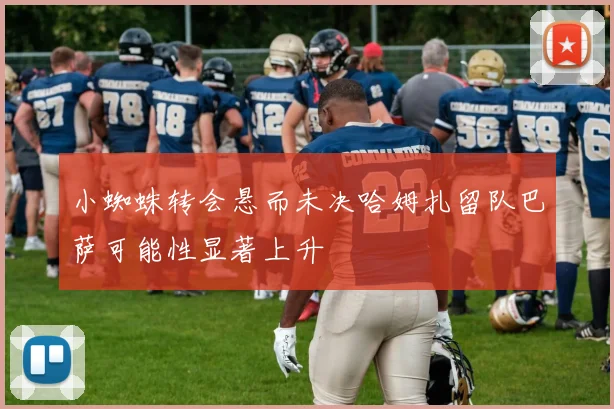 小蜘蛛转会悬而未决哈姆扎留队巴萨可能性显著上升