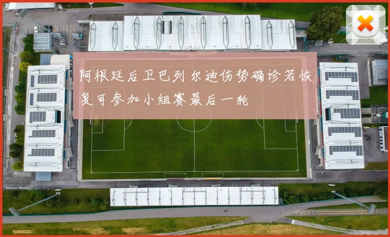 阿根廷后卫巴列尔迪伤势确诊若恢复可参加小组赛最后一轮